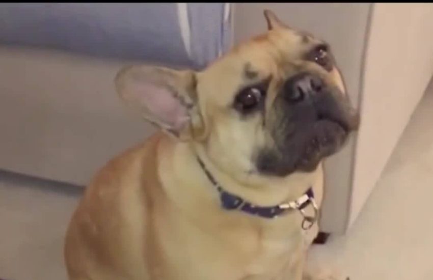 When you're on a diet over Christmas