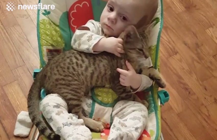 I want someone to love me like this baby loves his kitten