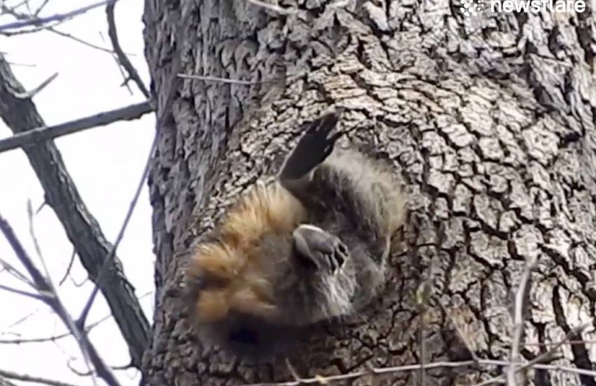 Leaked footage of me putting on my skinny jeans