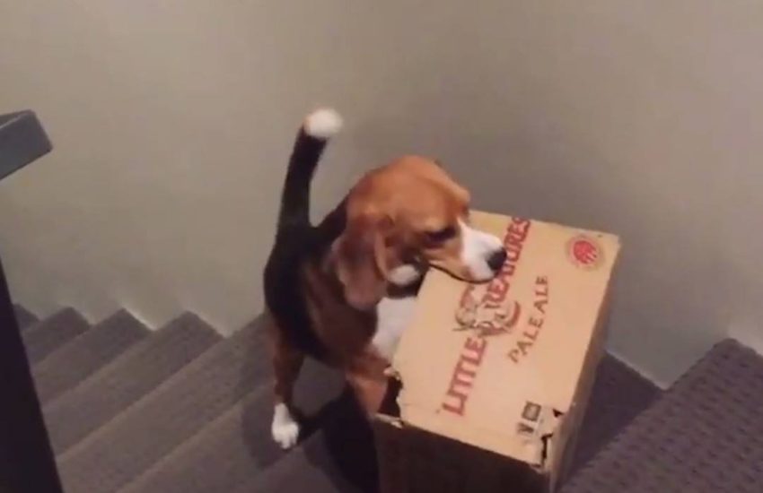 Happens to the best of us