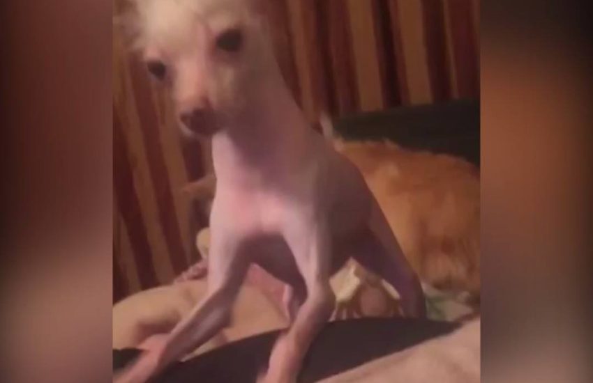 When your girlfriend wants attention