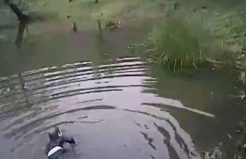 This police officer is a hero!