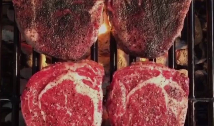 向肉類問好，食肉動物去吃東西，快樂！