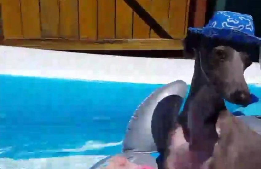 "What are your plans for the summer?"