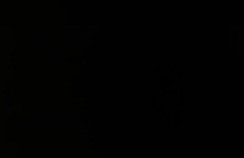 This is what happens when you call 2 random aussies and let them chat Credit: ViralHog