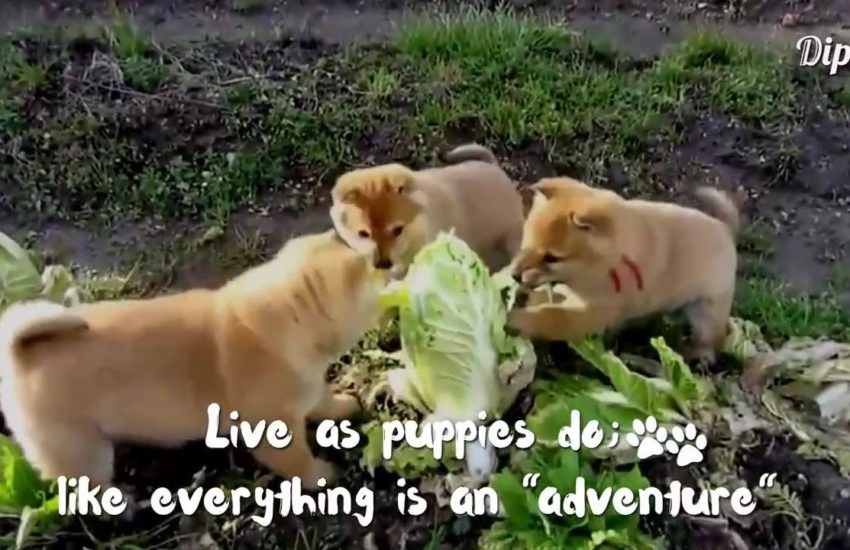 Live life like an 'adventure' (y) #diply