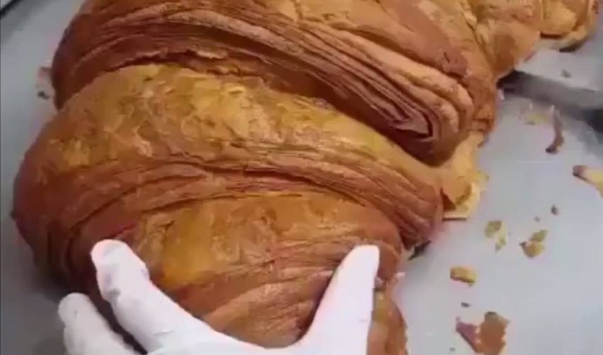 巨大的食物正在佔領世界?????
