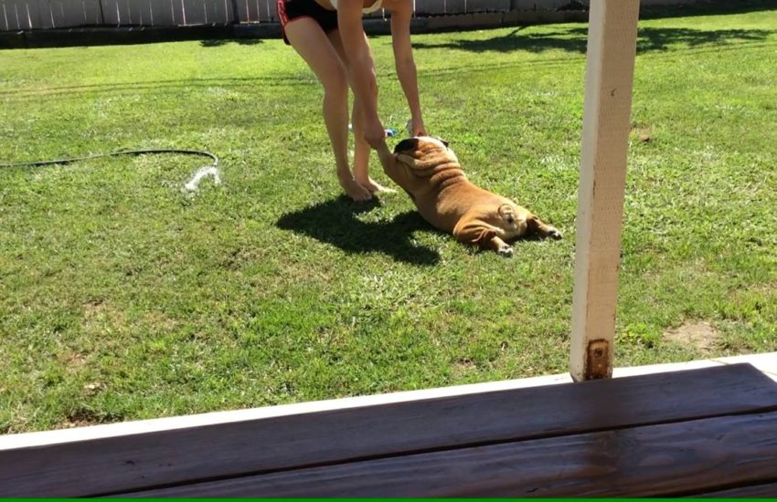 But mom... I don't want a bath! via - JukinMedia