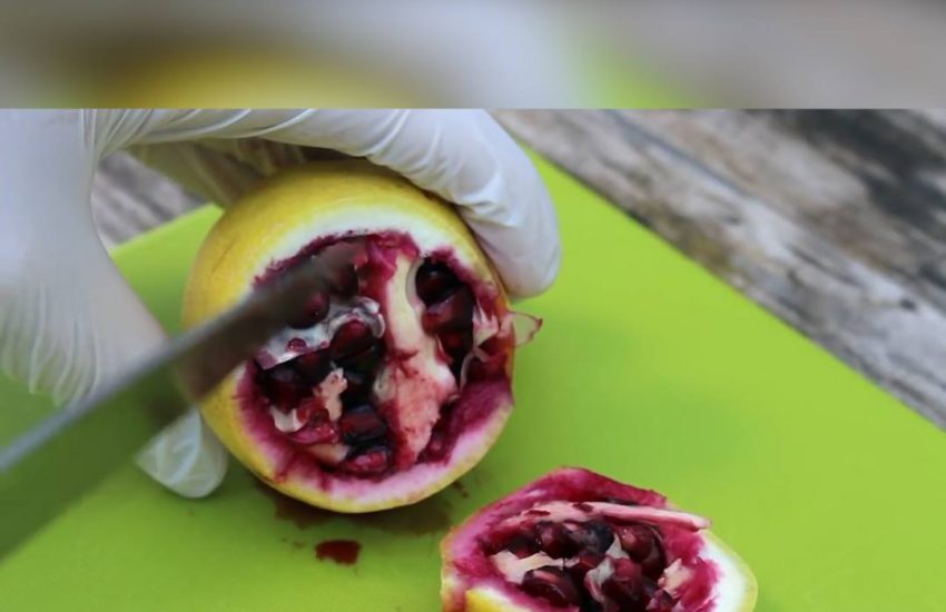 Someone created a cross between a pomegranate and a lemon