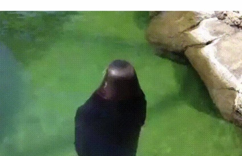 Round and round like a microwave. #diplymix