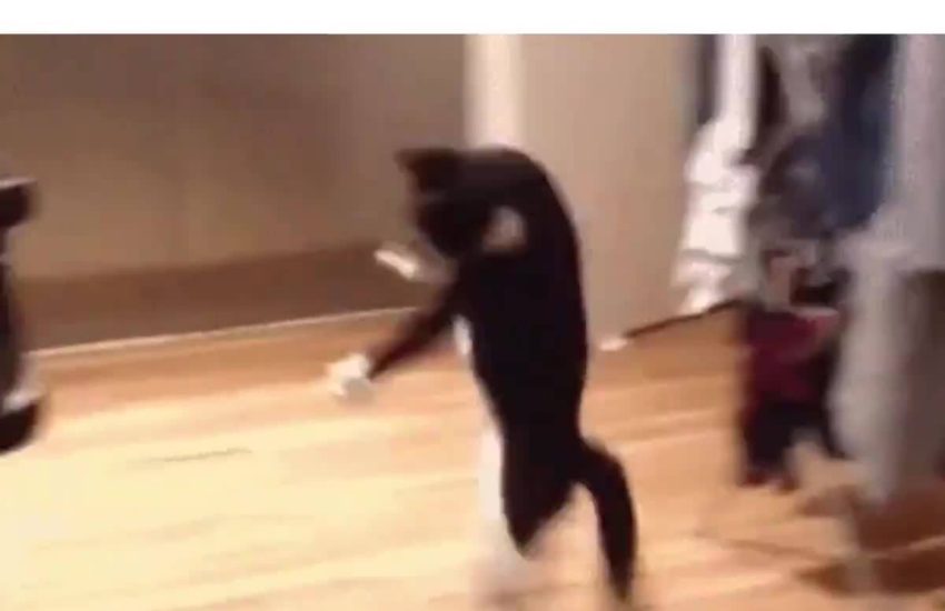 This is too good! #diplymix