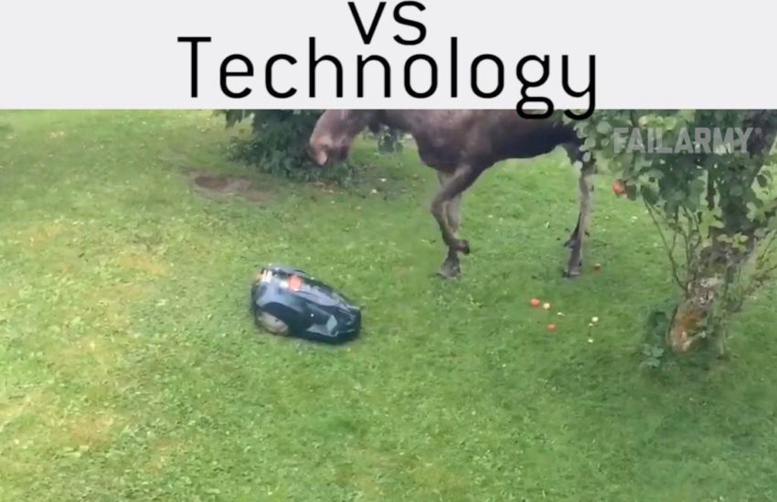 Animals vs. Technology