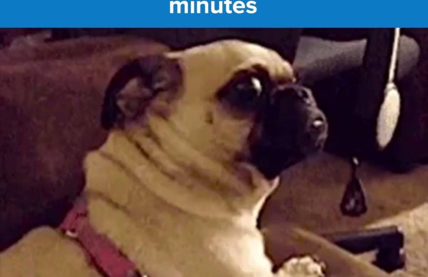 Great, I only have one hour till there are 4 hours left in my day.... #diplymix