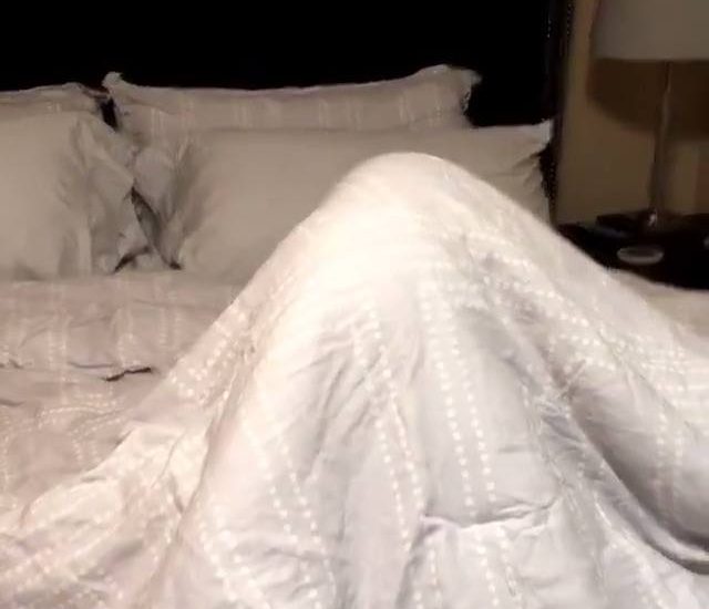 Peek a boo Credit: @kono_in_orlando See more: www.thebearshit.com