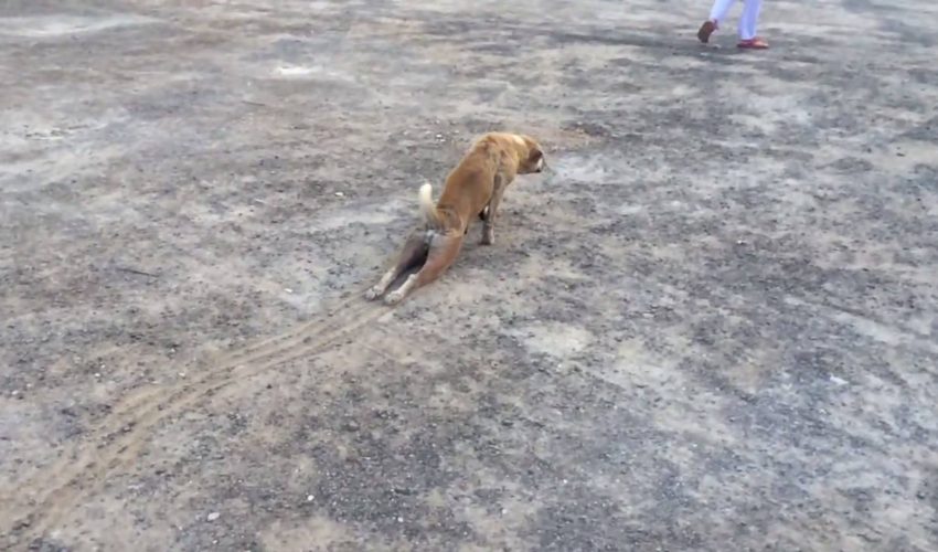 星期一早晨把你自己從床上拖下來……Via：ViralHog