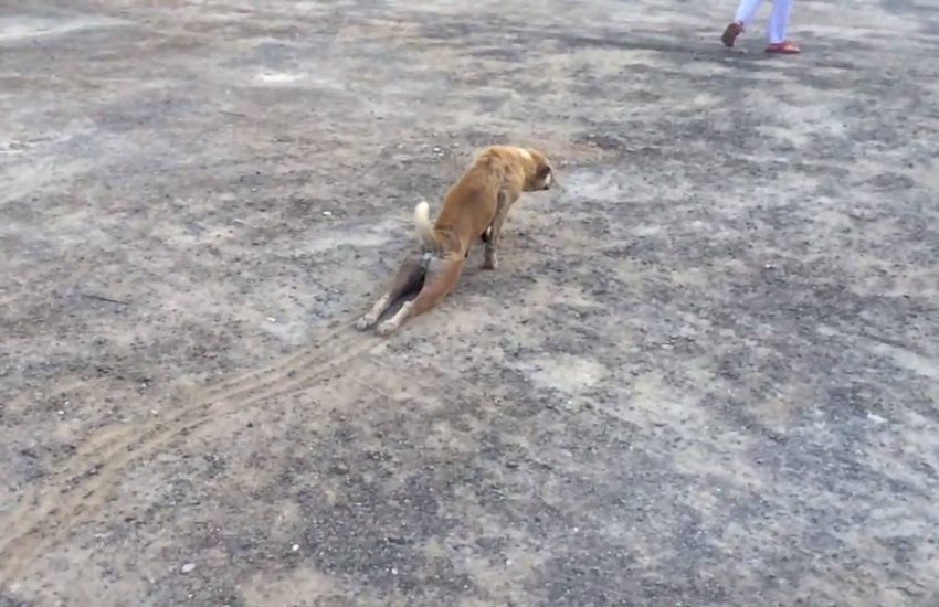 Dragging yourself out of bed on a Monday morning... Via: ViralHog