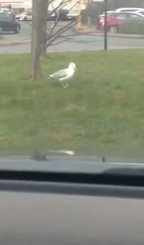 挑戰極限…