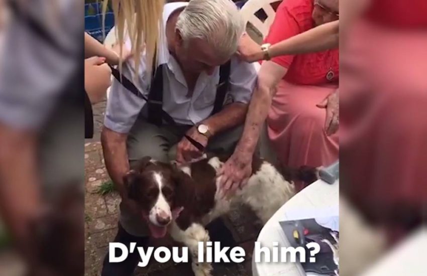 Family Get Grandad A Dog To Look After