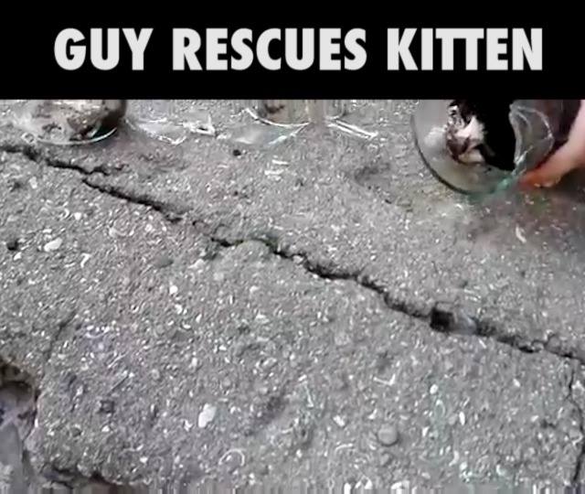 Guy Saves Kitten After It Got Stuck