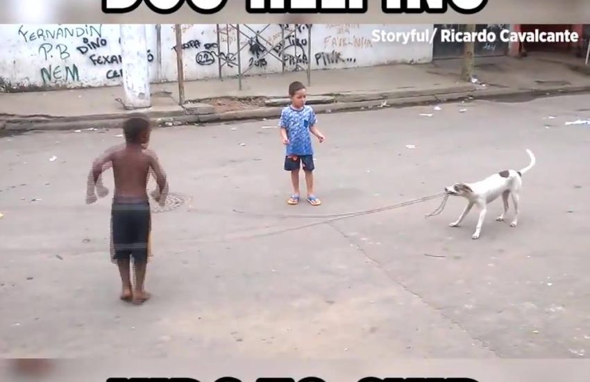 Dog Helping Kids To Skip