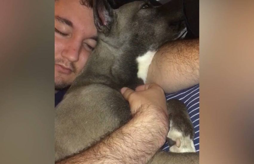 Dog Sleeps With Dad