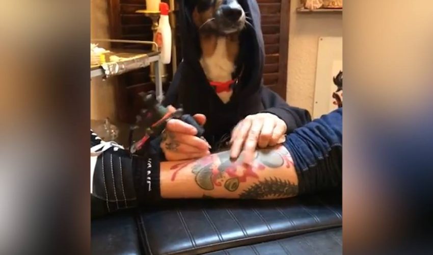 狗給腿紋身