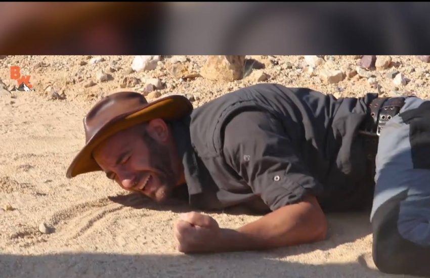 MAN STUNG BY HUGE INSECT