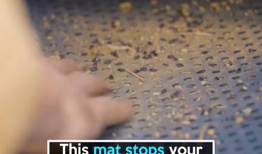 Trapmats是世界上第一個易於清潔的雙車墊
