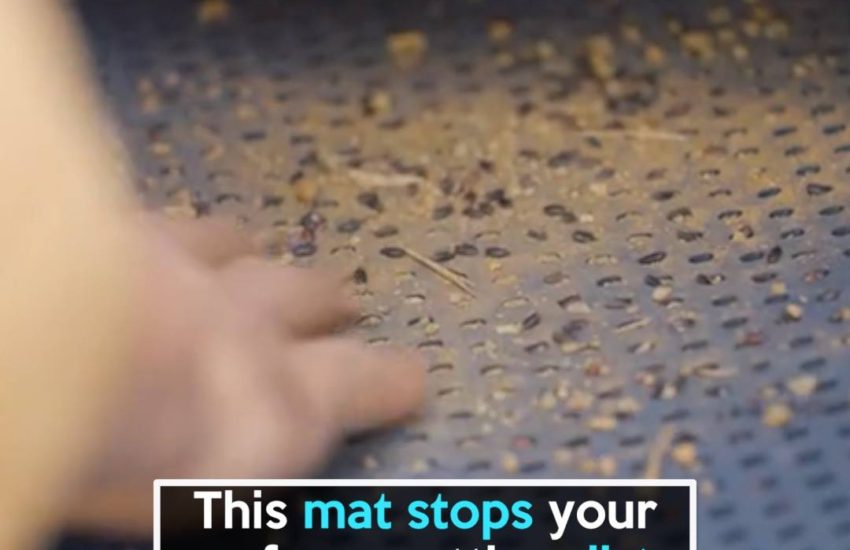 Trapmats is the world's first easy-clean dual car mat