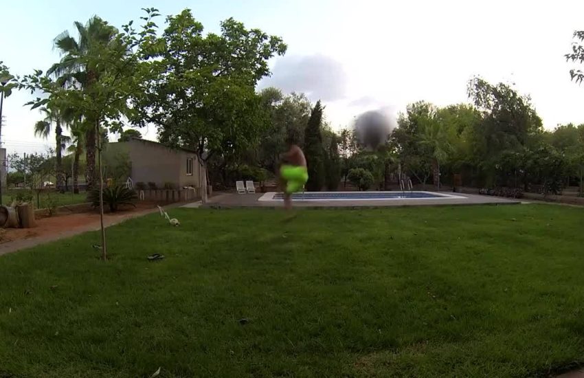 These Bros Ain't Loyal