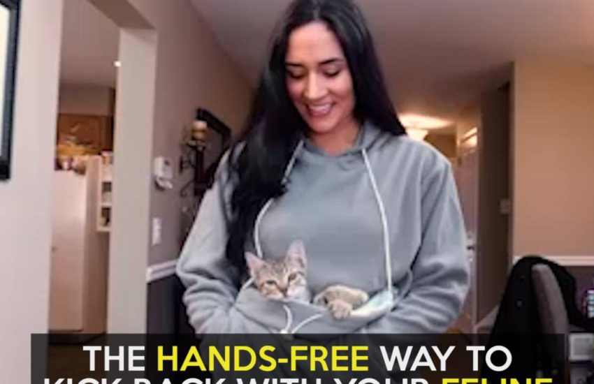 The hands-free way to kick back with your feline