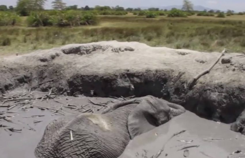 My faith in humanity has been restored