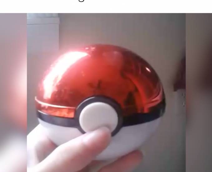 Leaked footage of real life Pokemon
