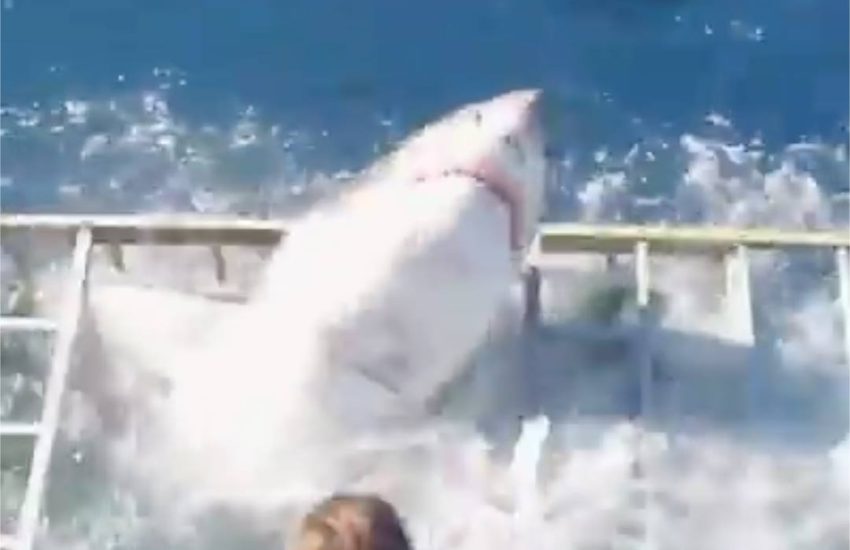 This guy had a lucky escape