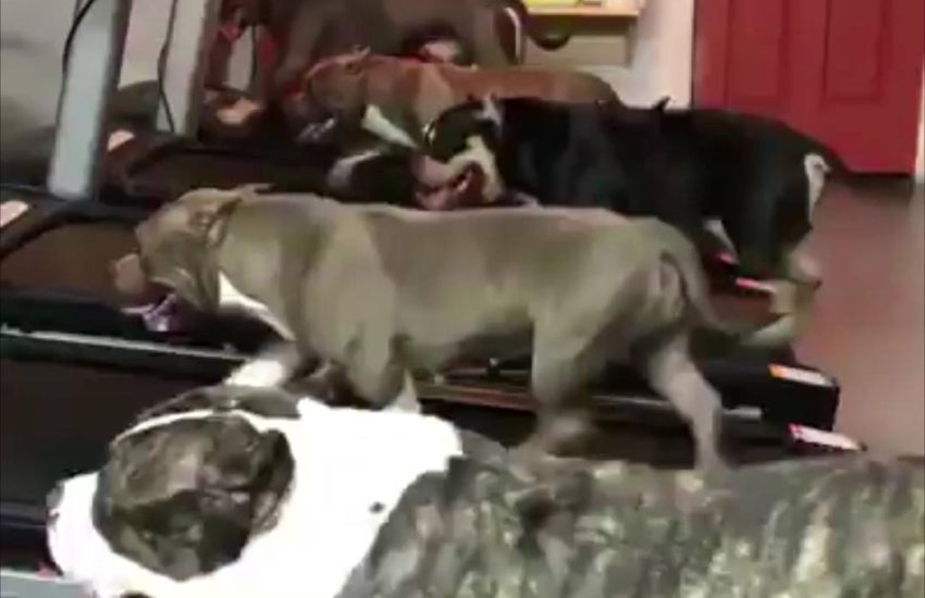 When the whole squad turns up at the gym