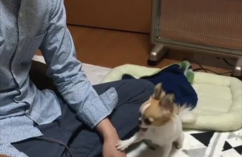 When you're not done getting attention