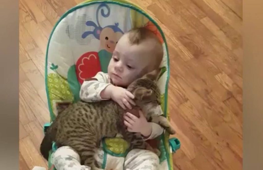 Baby and his best friend are inseparable