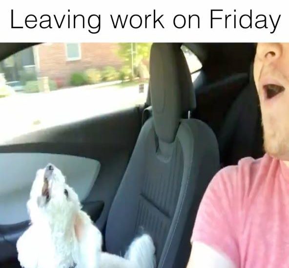 Leaving work on Friday