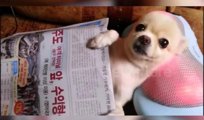 感謝：新聞