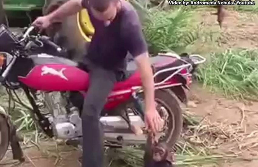 This is adorable! #onedip