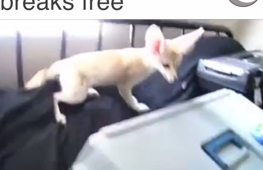 Goes a lot like this...