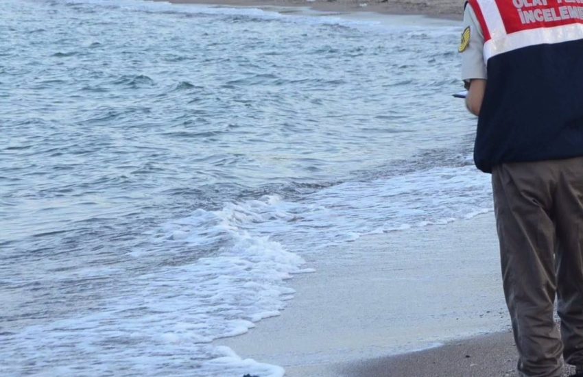 One year today... http://bit.ly/2bIePpw