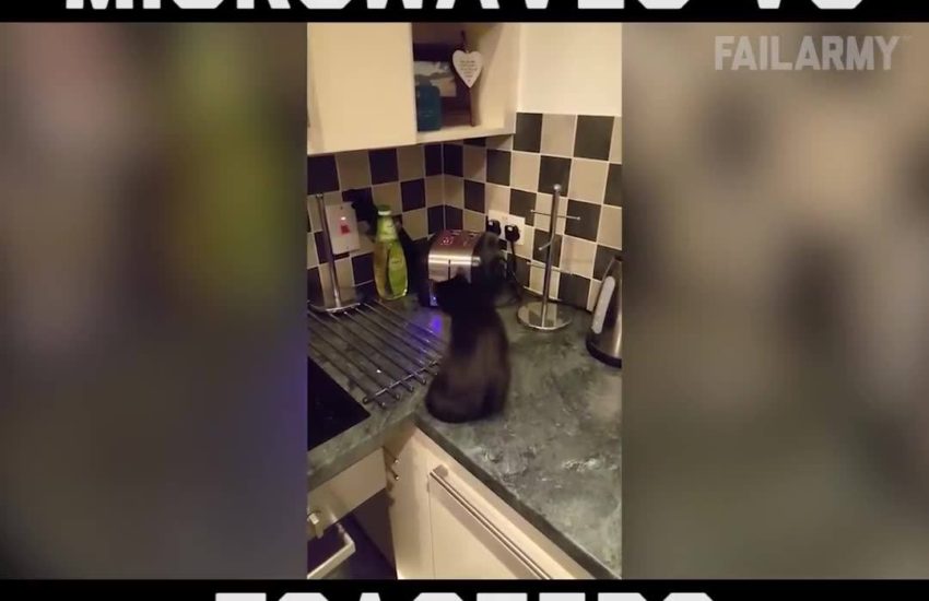 Microwaves and Toasters