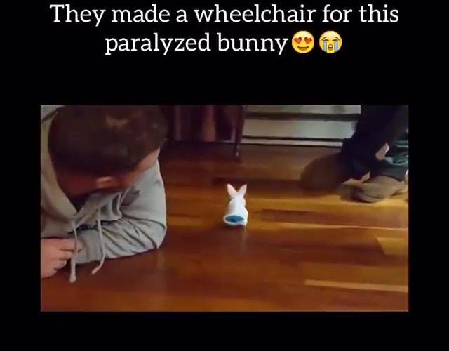 Awwww！ ❤❤❤