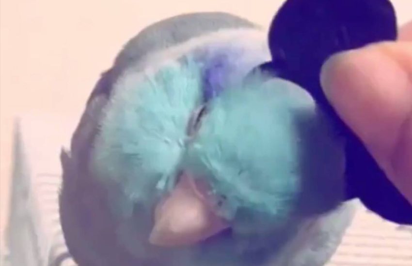 Adorable! <3 #onedip