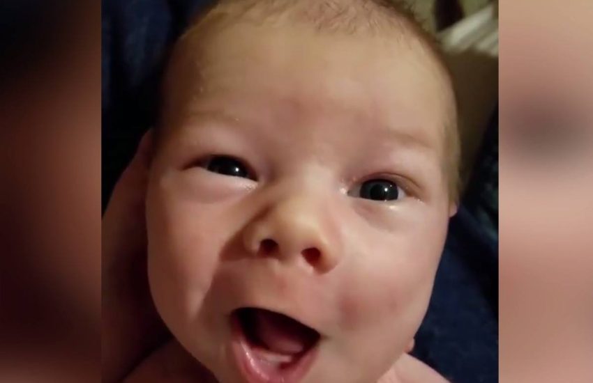 OMG! This is so adorable! ??? #onedip