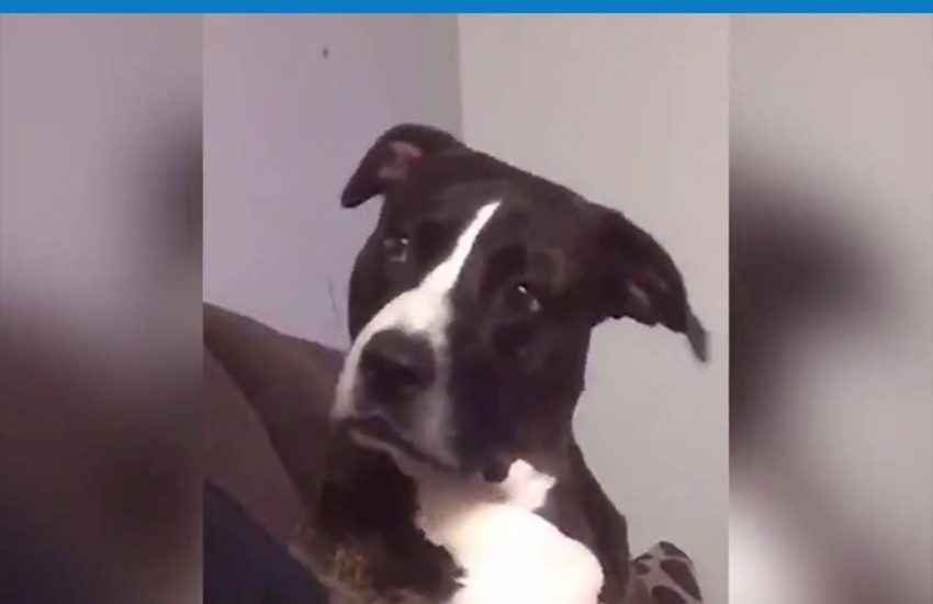 That look! :v #diplymix