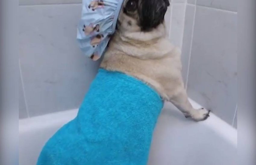 "I don't sing in the shower, i perform"