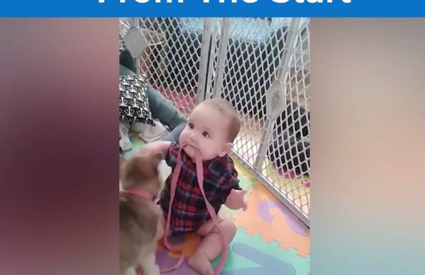 So much cuteness in one video! <3 via JukinMedia