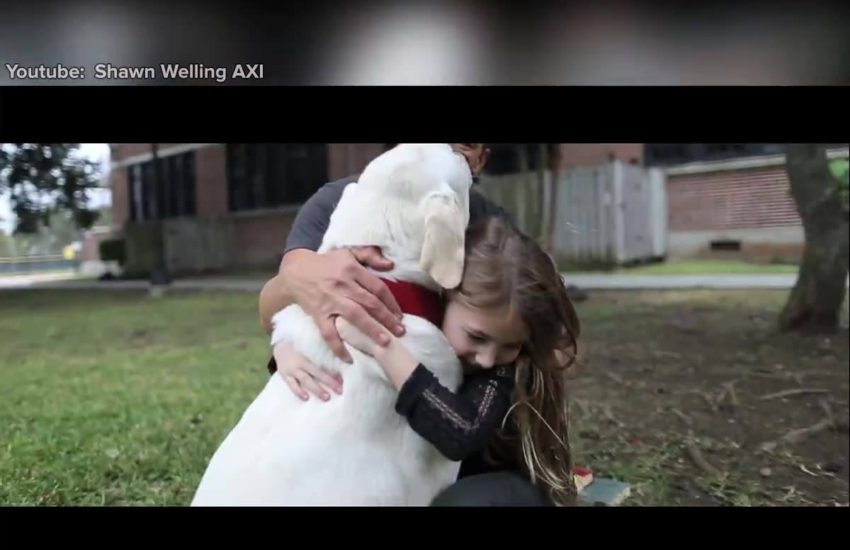 It's no coincidence that man's best friend cannot talk...a beautiful film! #onedip